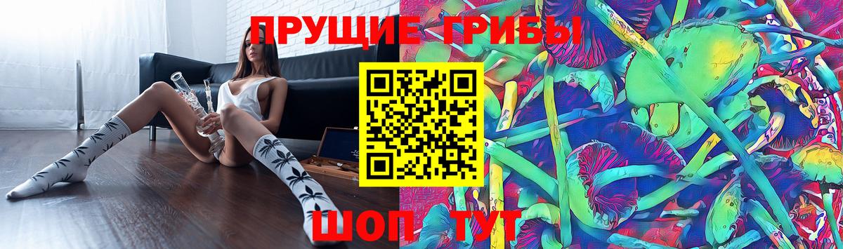 Киржач  Псилоцибиновые грибы GOLDEN TEACHER  Вход с VPN 